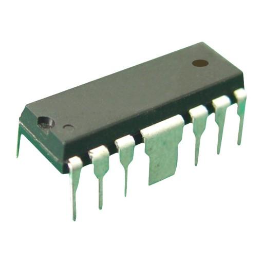 p1213_1.jpg