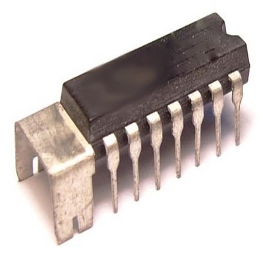p1159_1.jpg